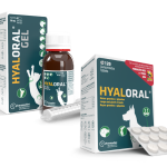 HyaloralGel
